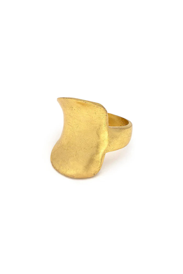 IRREGULAR PLATE BAND RING