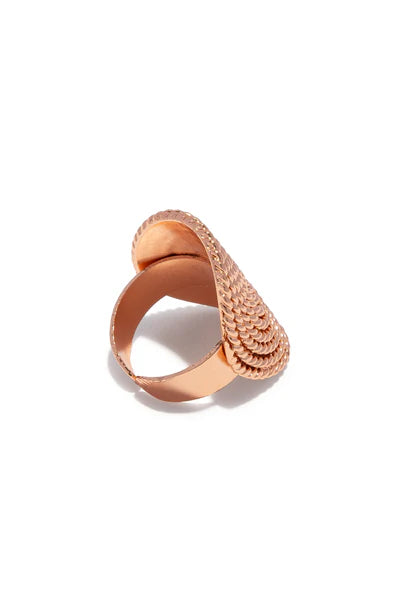 ANELLO SCUDO TORCHON